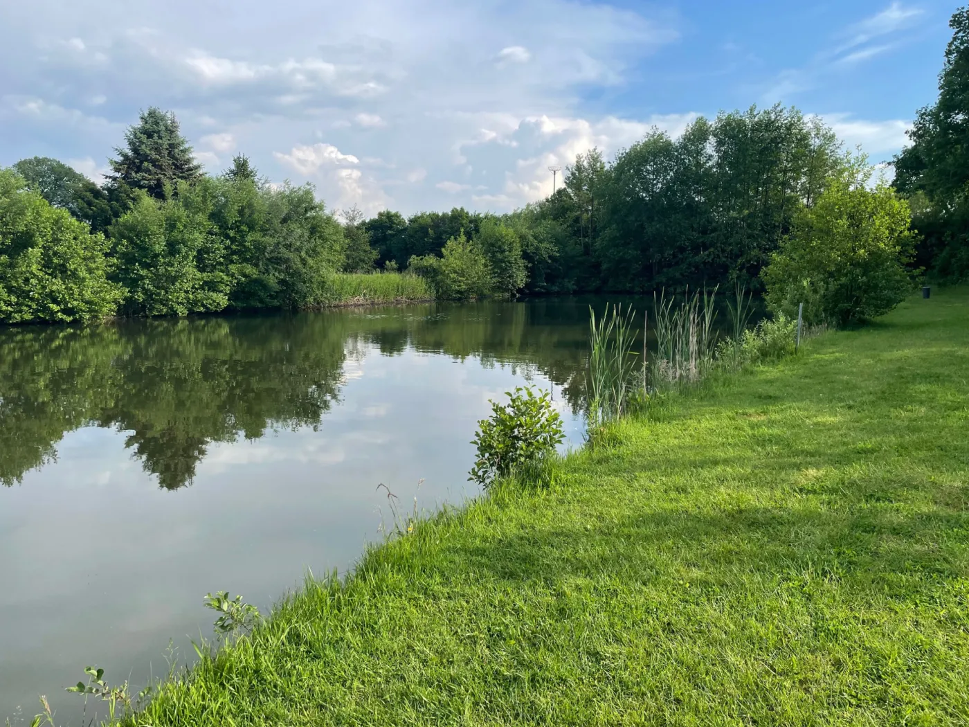 Exotenteich - großer Forellenteich für Großforellen und Exoten
